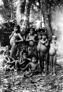 Várias crianças indígenas Botocudos posando para uma fotografia